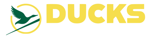 Ducks Rising
